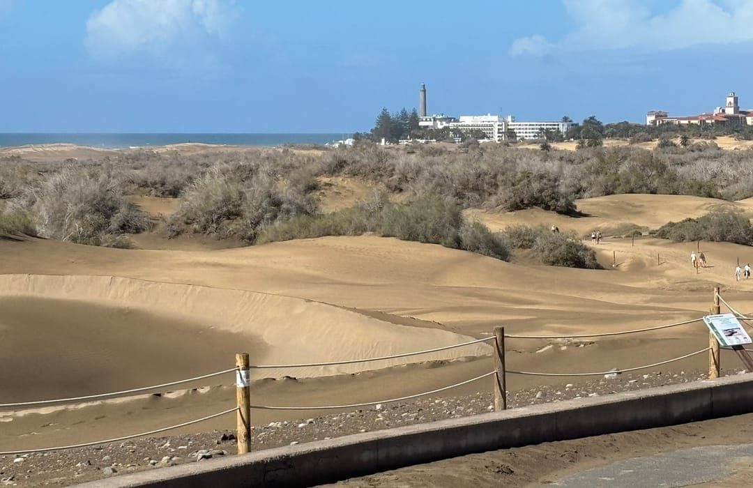 Avenida de Tirajana, the main avenue running through Playa del Inglés