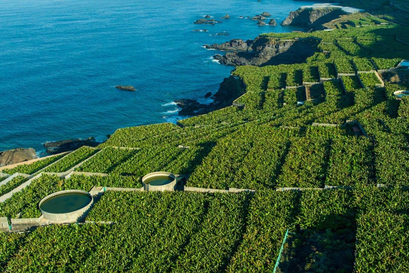 the black-sand coastline and terraced banana groves of San Andrés y Sauces, La Palma