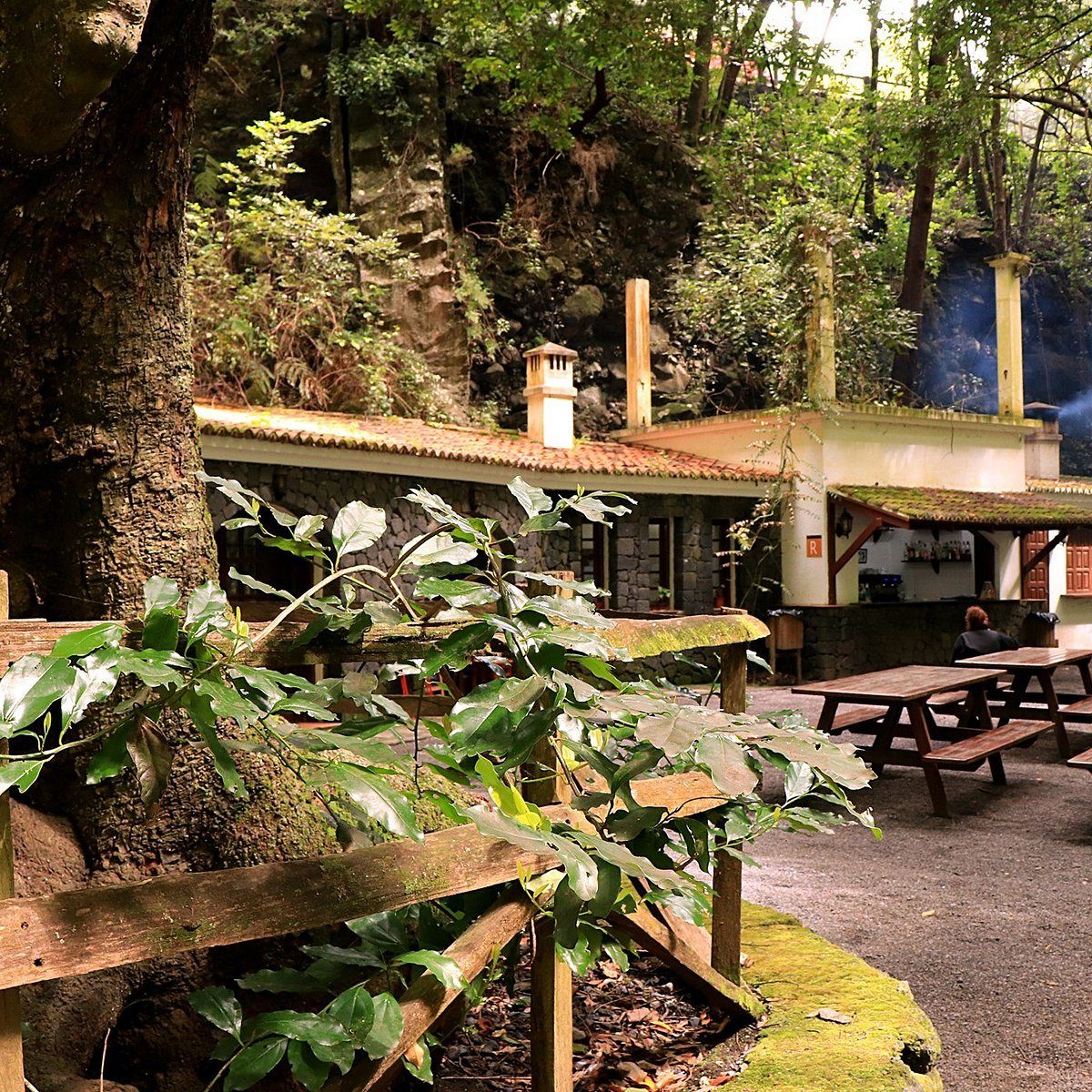 the rustic dining room at Casa Demetrio inside the Los Tilos forest